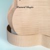 33S body construction kit with flamed wood choices