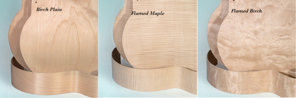 33S Guitar body construction kit parts